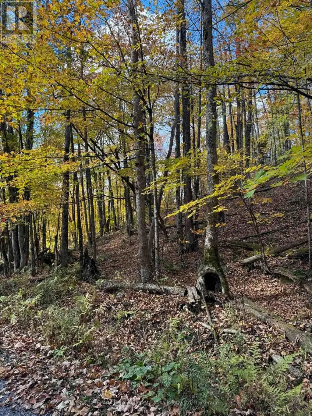353c Balsam Creek Road, Parry Sound Remote Area (McConkey)
